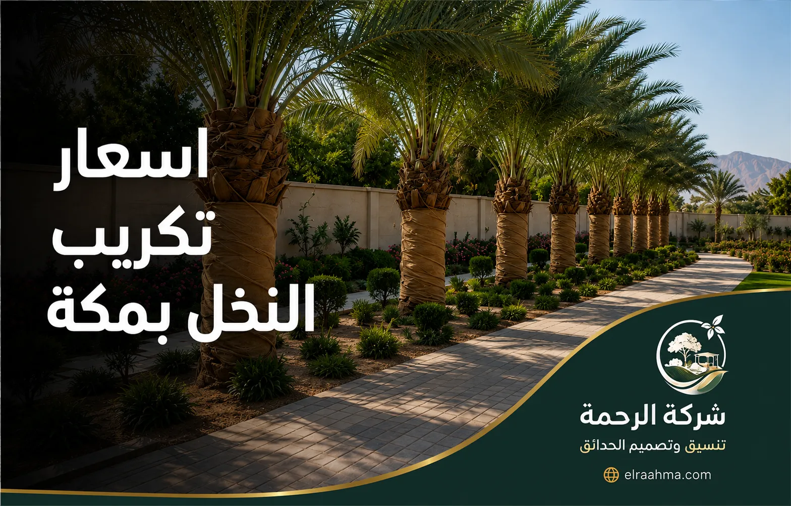 أسعار تكريب النخل بمكة | شركة الرحمة نخيل مكرب ومنظم على امتداد ممر حديقة مع تشذيب الجذوع في مكة