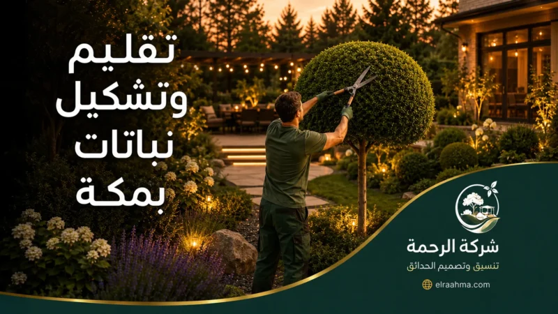 تقليم وتشكيل نباتات بمكة 0559460943 شركة الرحمة تنفيذ تشذيب الأشجار بمكة بالمقص اليدوي لتنسيق النباتات الكروية والحفاظ على شكلها المتوازن.