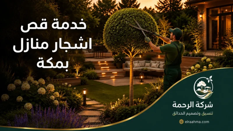 قص اشجار بمكة 0559460943 شركة الرحمة عامل قص اشجار بمكة يشذب شجرة منزلية لتوفير مساحة مرتبة وآمنة داخل الحديقة.