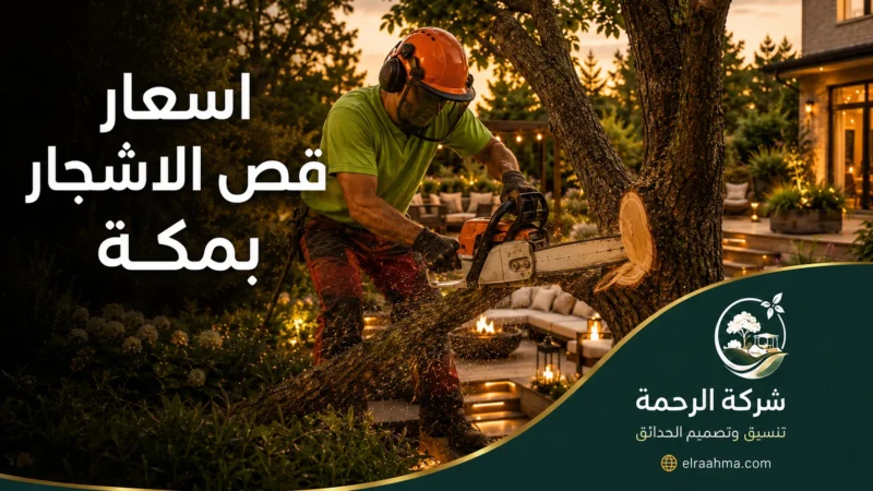 أسعار قص الأشجار بمكة 0559460943 شركة الرحمة فني يستخدم المنشار ضمن خدمة أسعار قص الأشجار بمكة لقطع فرع سميك وتأمين حديقة المنزل.