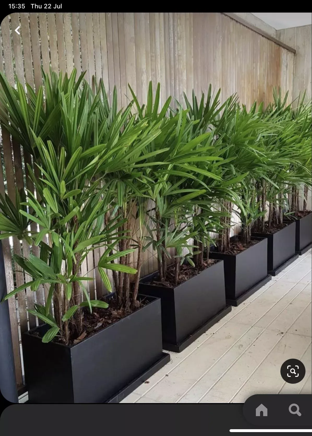 أحواض زراعة للفلل في السعودية | أفخم التصاميم الحديثة لتنسيق الحدائق 2026