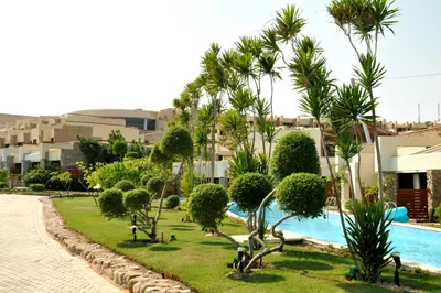 شبكات ري منتجعات سياحية | تصميم وتنفيذ أنظمة الري الحديثة للمنتجعات