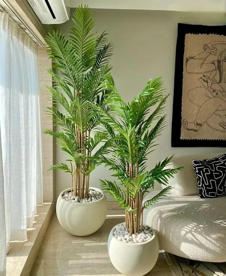 مراكن زرع رخيصة في جدة – أفضل الأسعار والجودة لتنسيق حدائقك ومنزلك