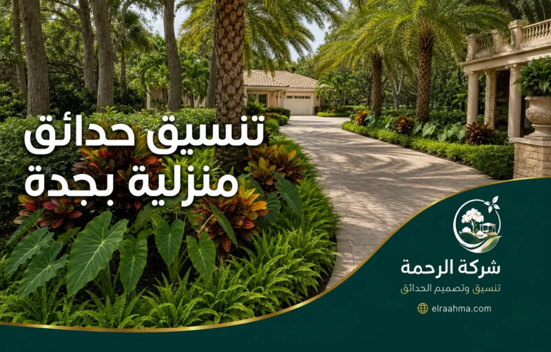 تنسيق حدائق جدة | شركة الرحمة تنسيق حدائق جدة وتصميم حوش منزلي بالعشب الطبيعي والممرات الحجرية في جدة