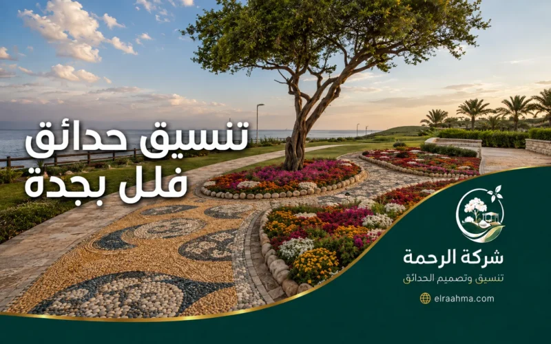 تنسيق حدائق فلل جدة | شركة الرحمة تنسيق حدائق فلل جدة وتنظيم احوض الزرع وديكور الحائط والنجيل الصناعي.